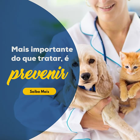 prevenção da saúde pet: 